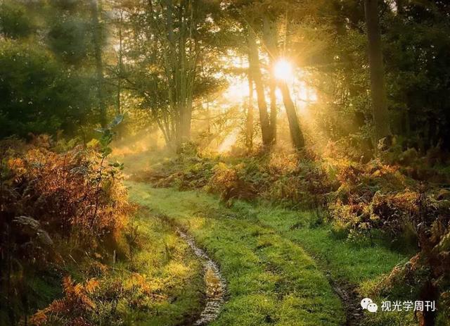 抗蓝光镜片的实际效果(图1)