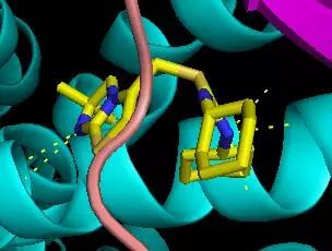 手把手教你用PyMOL作出蛋白结构图——进阶篇(图8)