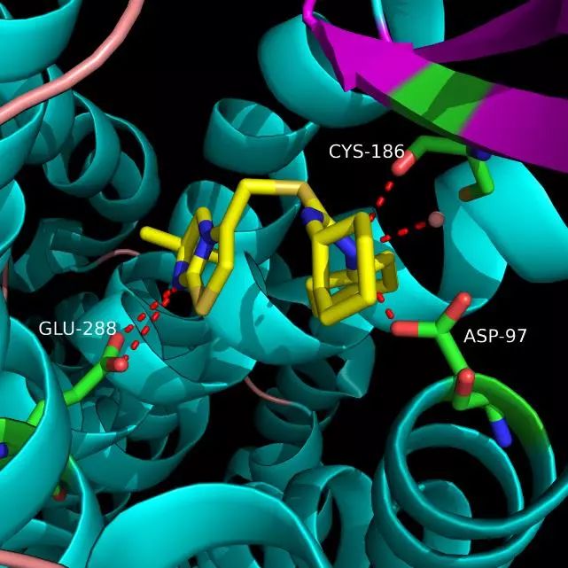 手把手教你用PyMOL作出蛋白结构图——进阶篇(图13)