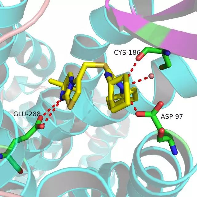 手把手教你用PyMOL作出蛋白结构图——进阶篇(图14)