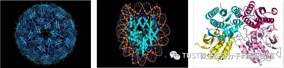 手把手教你用PyMOL作出蛋白结构图——1. 基础篇(图1)