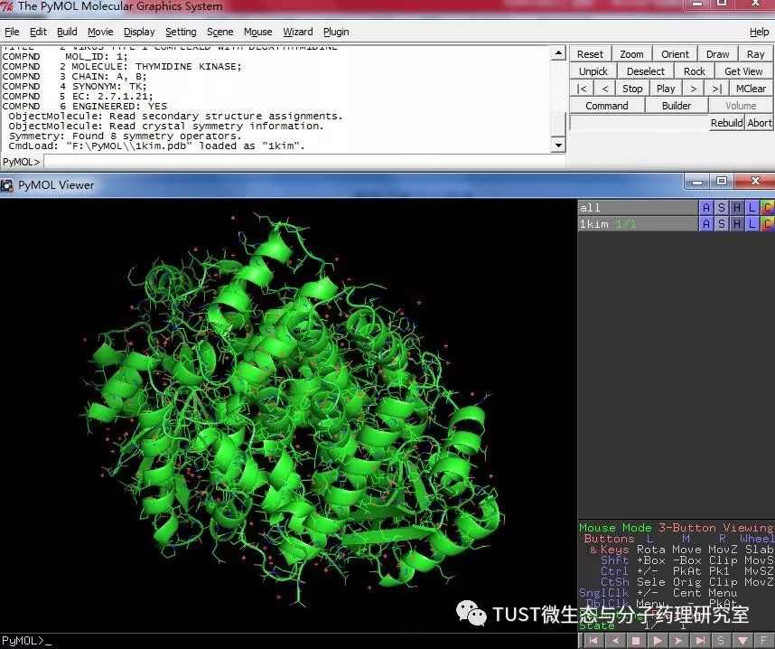 手把手教你用PyMOL作出蛋白结构图——1. 基础篇(图4)