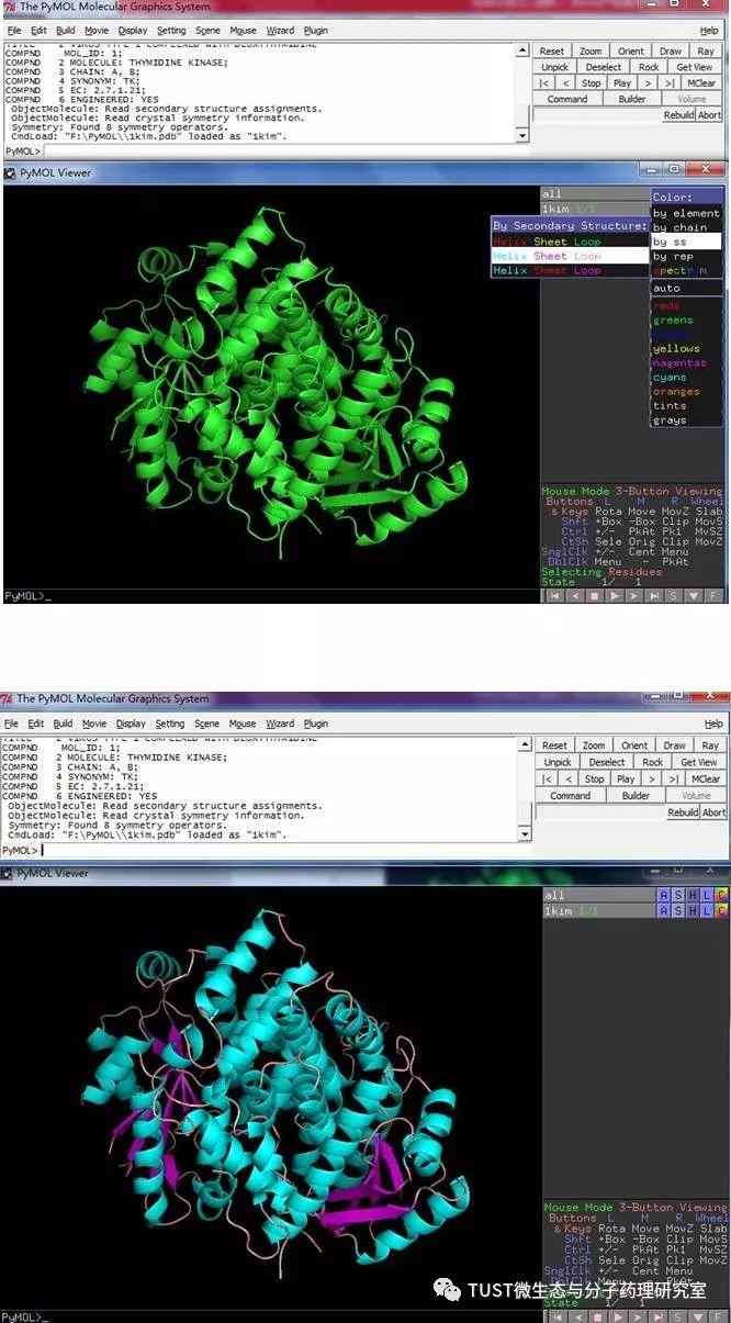 手把手教你用PyMOL作出蛋白结构图——1. 基础篇(图6)
