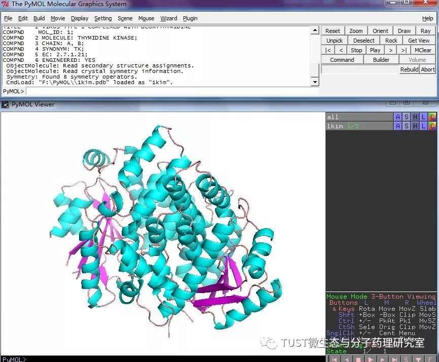 手把手教你用PyMOL作出蛋白结构图——1. 基础篇(图7)