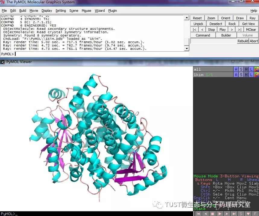 手把手教你用PyMOL作出蛋白结构图——1. 基础篇(图8)