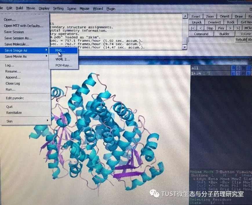 手把手教你用PyMOL作出蛋白结构图——1. 基础篇(图9)