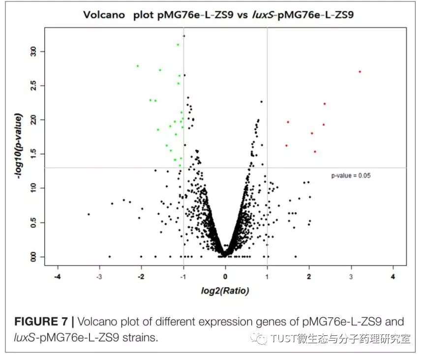 《Front Microbiol》：过表达LuxS可增强类植物乳杆菌抗逆性、促进生物膜形成(图2)