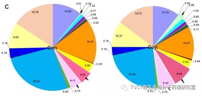 《Mol Nutr Food Res》：枸杞子调节IL-10缺陷型小鼠肠道微生物群并缓解结肠炎(图1)