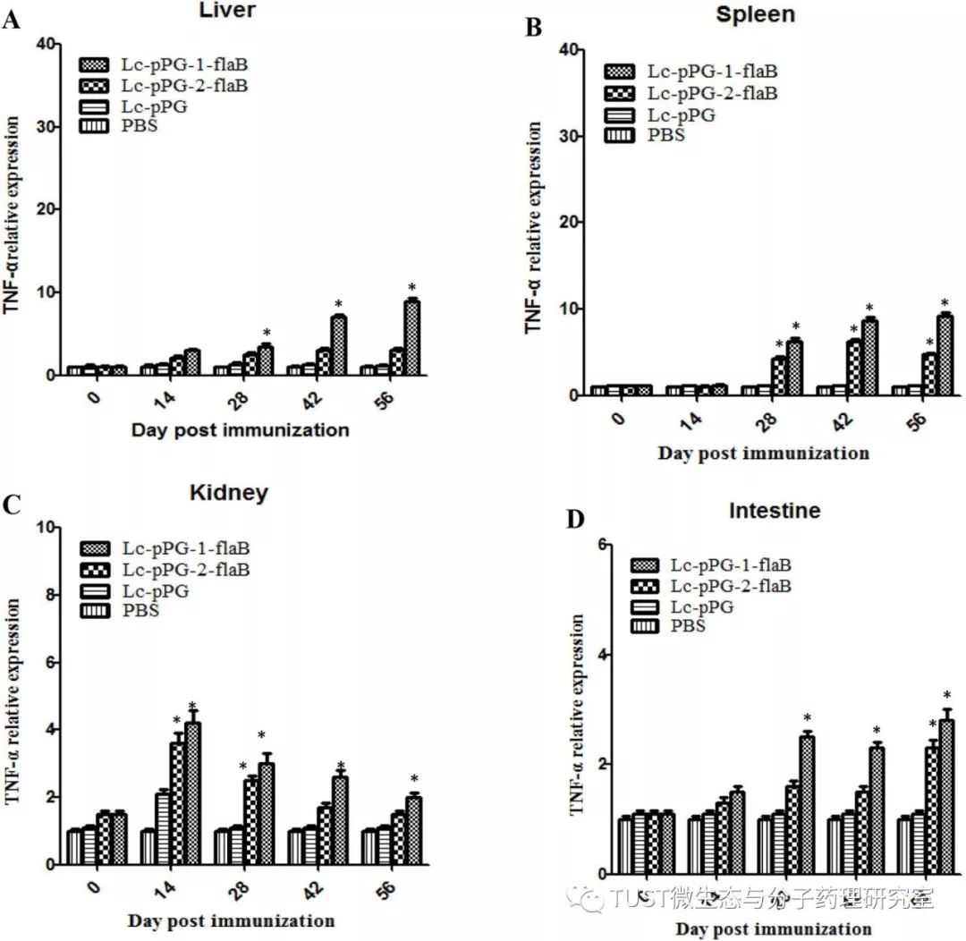 flaB重组干酪乳杆菌口服疫苗可增强鲤鱼对气单胞菌的免疫能力(图1)