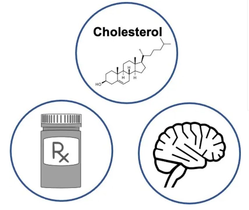 高胆固醇血症如何导致阿尔茨海默病和失智的风险增加？(图3)