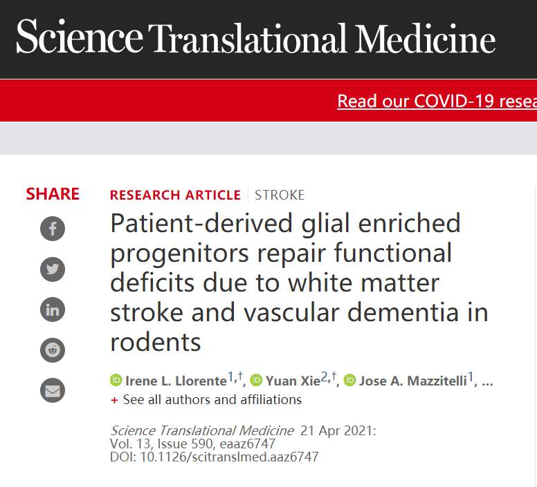《科学转化医学》：实验性干细胞疗法能够修复脑损伤(图2)