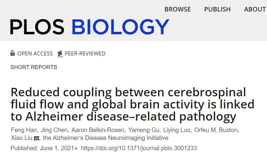 睡眠依赖性低频全脑活动可清除阿尔茨海默病相关毒素积聚！(图2)