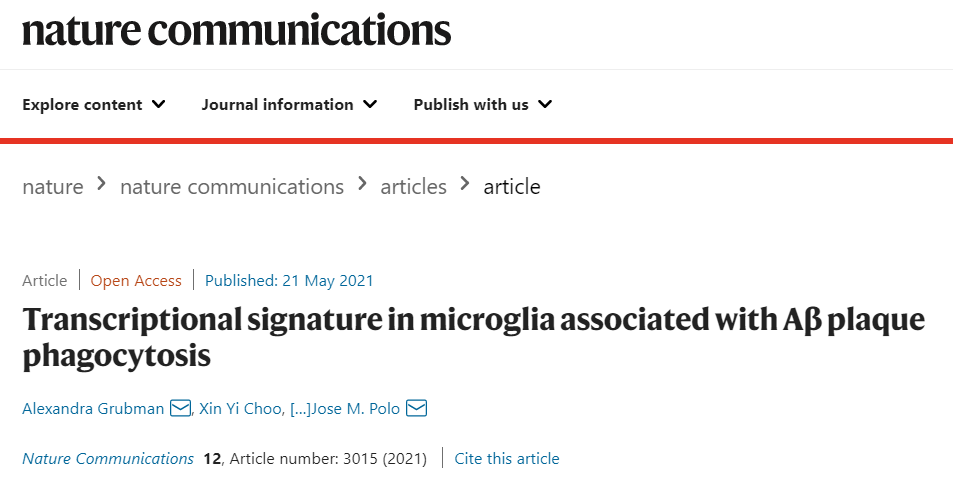 阿尔茨海默病：小胶质细胞与淀粉样斑块积累有何关系？(图2)