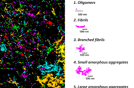 所有tau蛋白的积累都是有害的？当然不是！(图3)