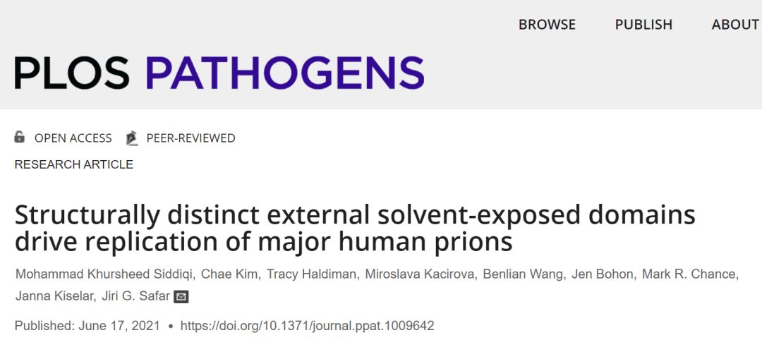 阿尔茨海默病是如何在人脑中传播的？(图2)