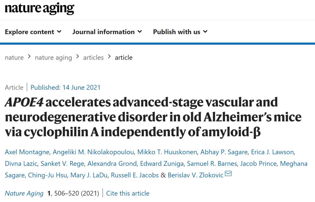 南加州大学提出新治疗靶点，为减缓阿尔茨海默病带来希望！(图2)