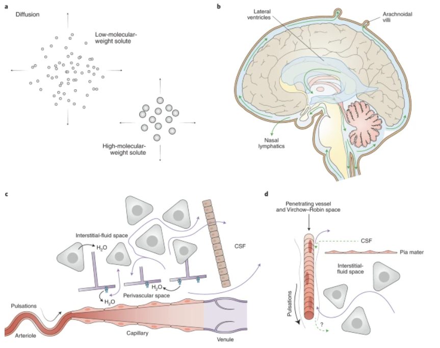 良性遗忘在哪里结束,真正的疾病从哪里开始?(图4)