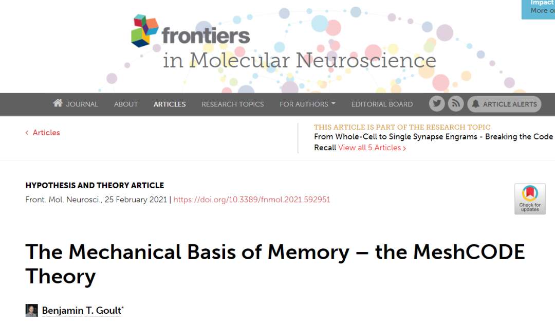 《分子神经科学前沿》：记忆如何储存在大脑中的新理论(图2)