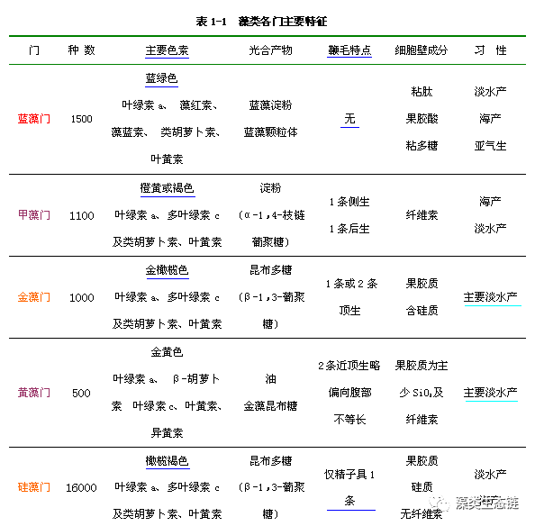 藻类植物介绍与藻类光生物反应器设计(图3)