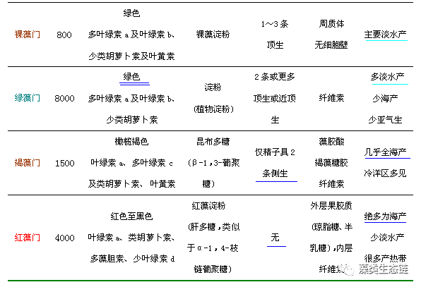藻类植物介绍与藻类光生物反应器设计(图4)