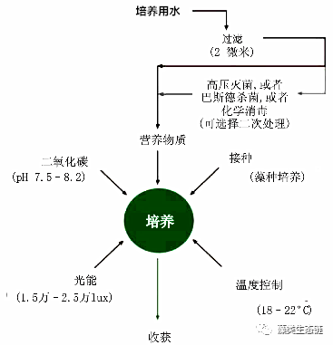 藻类植物介绍与藻类光生物反应器设计(图15)