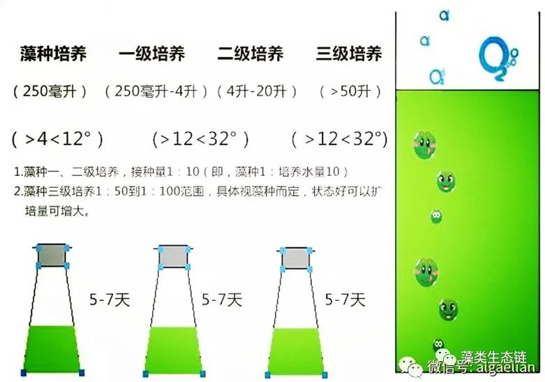 藻类植物介绍与藻类光生物反应器设计(图16)