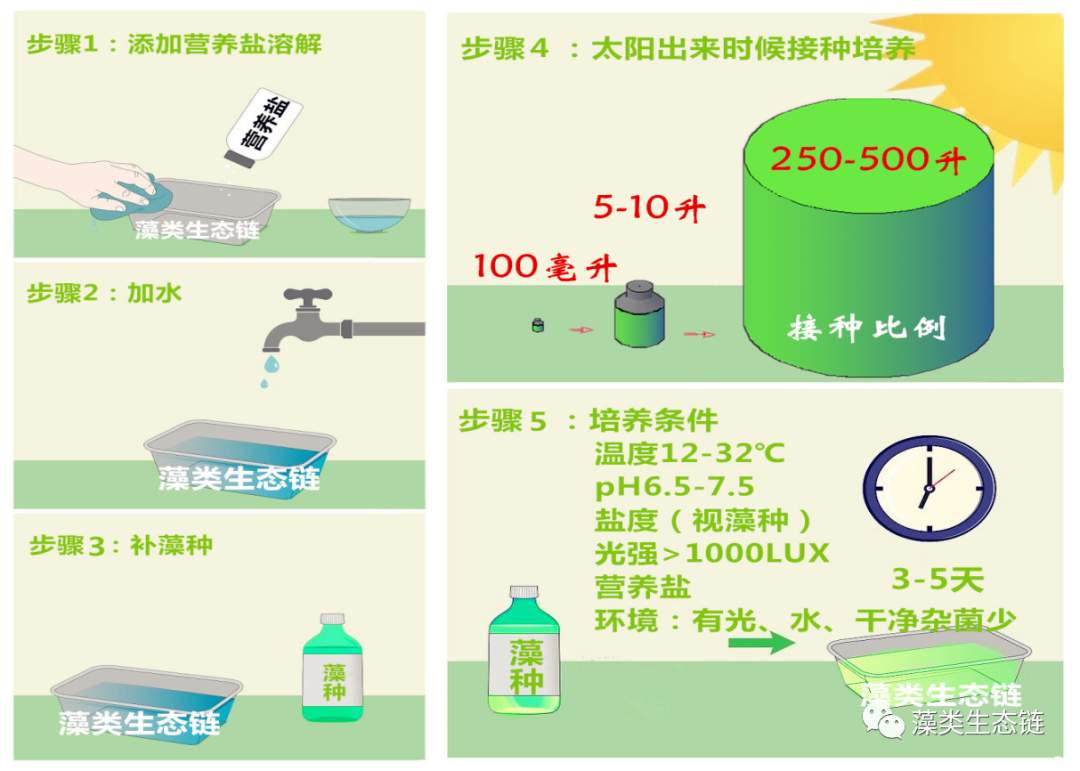 藻类植物介绍与藻类光生物反应器设计(图17)