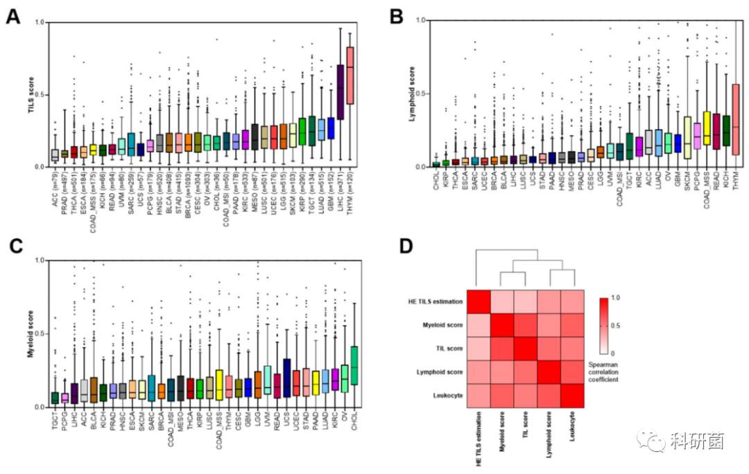肿瘤浸润淋巴细胞可作为新的抗PD-1疗效的泛癌预测生物标志物(图2)