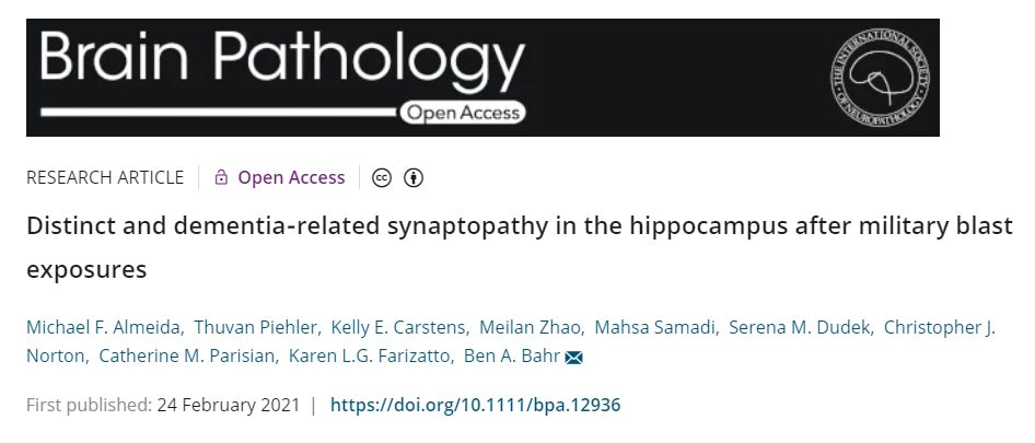 新研究：是如何影响大脑的？(图2)