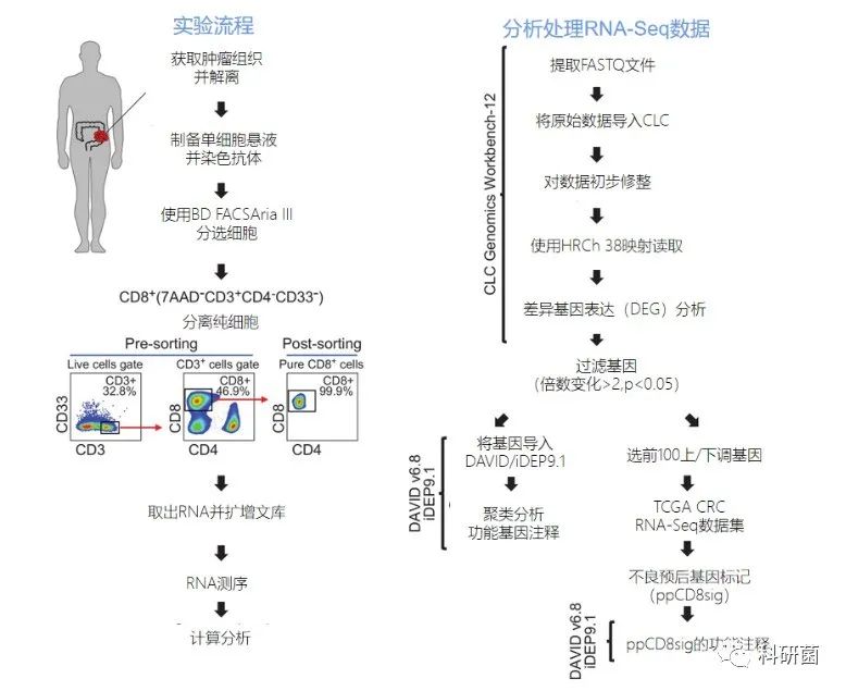单细胞新替代方案不贵但发了10分(图1)