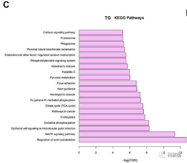 临床基本信息当作变量轻松发2+分专业期刊(图7)