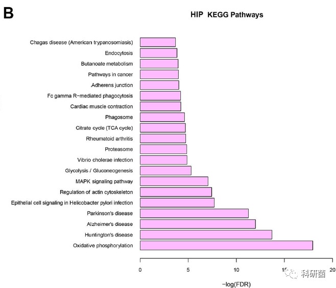 临床基本信息当作变量轻松发2+分专业期刊(图6)