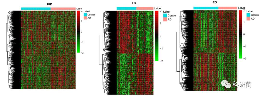 临床基本信息当作变量轻松发2+分专业期刊(图4)