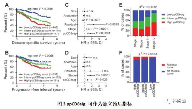 单细胞新替代方案不贵但发了10分(图6)