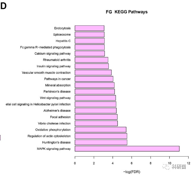临床基本信息当作变量轻松发2+分专业期刊(图8)