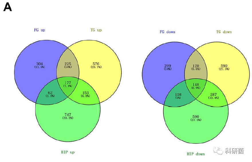 临床基本信息当作变量轻松发2+分专业期刊(图5)