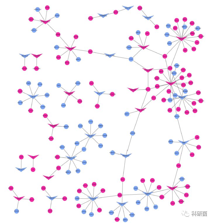 临床基本信息当作变量轻松发2+分专业期刊(图10)
