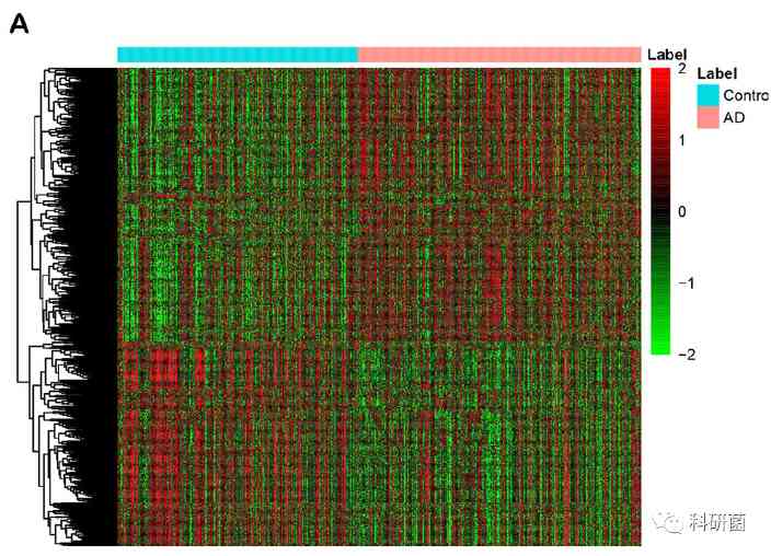 临床基本信息当作变量轻松发2+分专业期刊(图11)