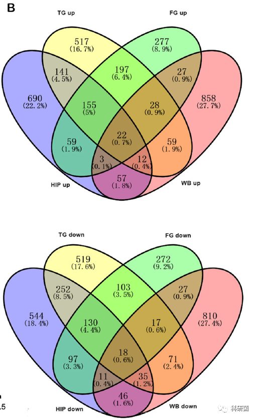 临床基本信息当作变量轻松发2+分专业期刊(图12)