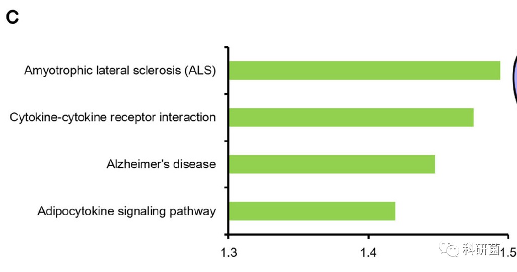 临床基本信息当作变量轻松发2+分专业期刊(图13)