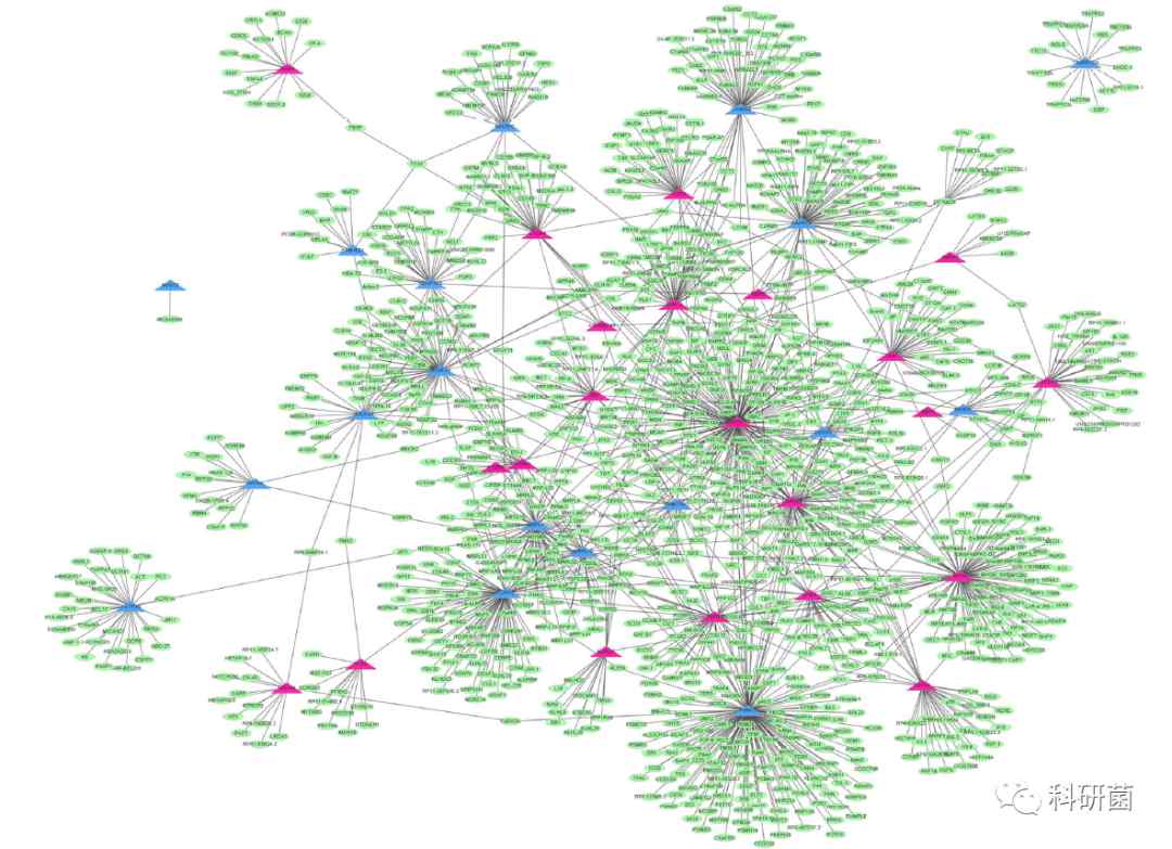 临床基本信息当作变量轻松发2+分专业期刊(图14)