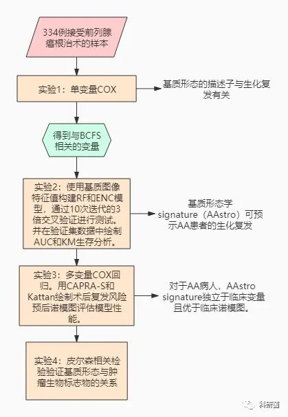非裔美国人前列腺切除术后前列腺基质复发的计算机衍生基质特征的图像signature(图1)