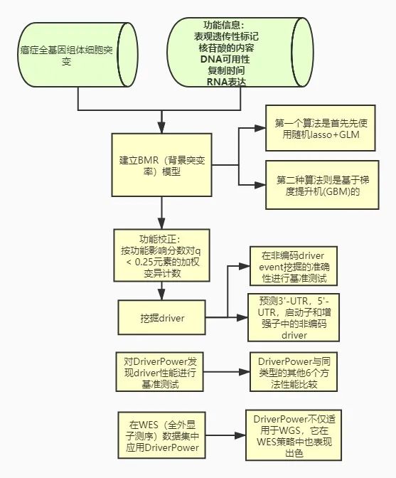 使用DriverPower识别癌症driver基因的综合负荷和功能影响测试(图1)