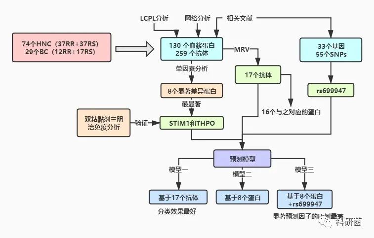 乳腺癌或头颈癌放射敏感性预测因子的分子分析(图1)