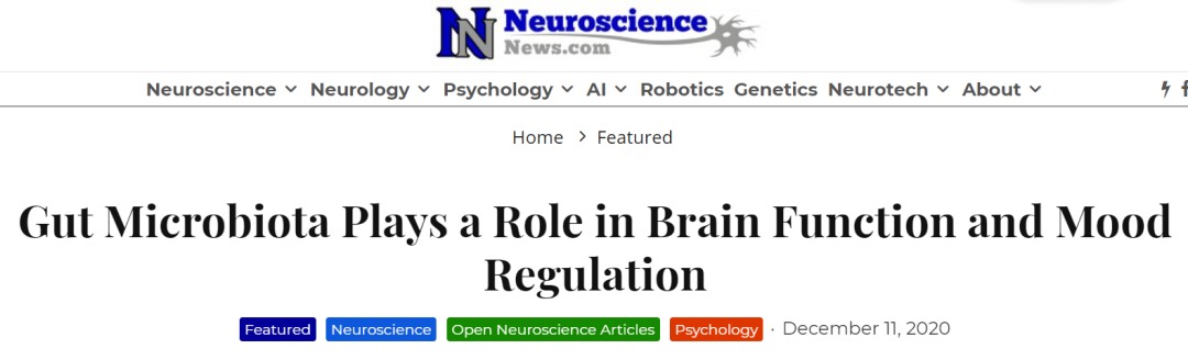 科学研究：健康的肠道菌群有助于正常的大脑功能,(图1)