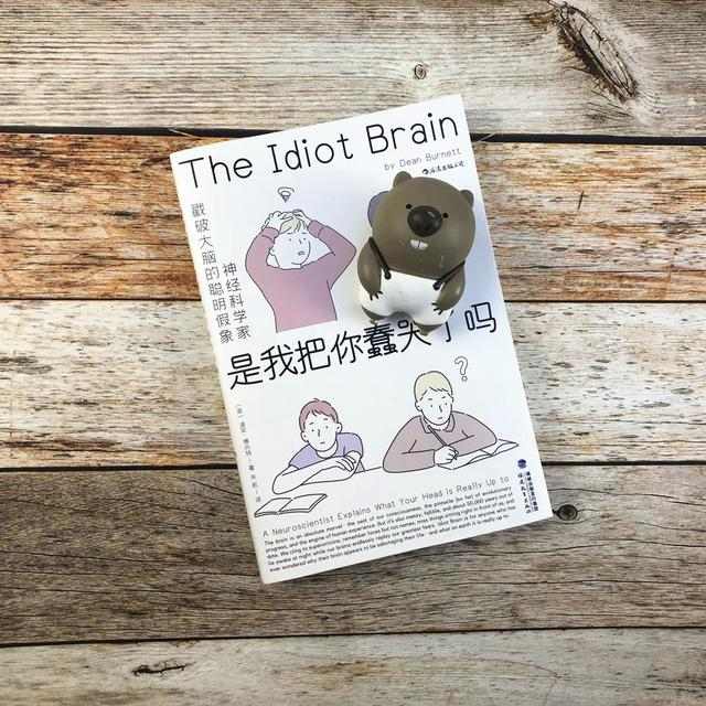 为什么聪明人吵架更容易输？你不可不知的大脑BUG