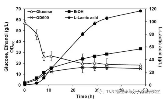 应用氧化还原平衡工程提高酿酒酵母L-乳酸产量(图1)