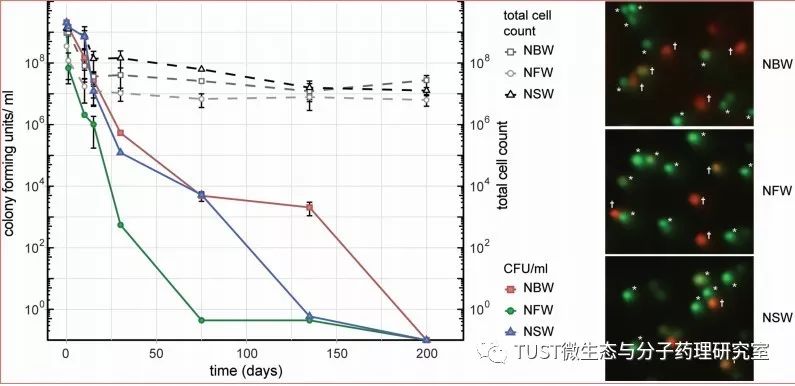 “活的非可培养”霍乱弧菌的细胞结构和蛋白质组研究(图1)