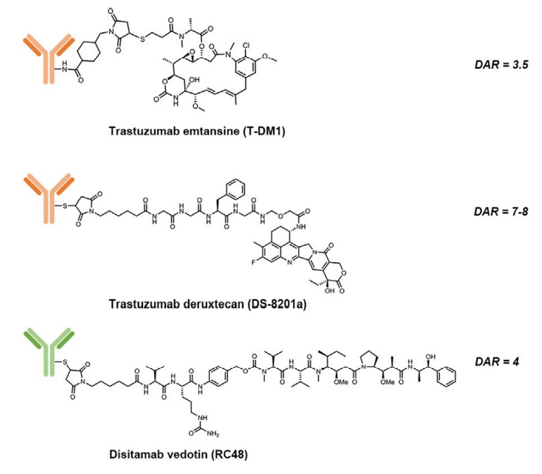 盘点靶向HER家族的ADC(图2) 盘点靶向HER家族的ADC(图2)
