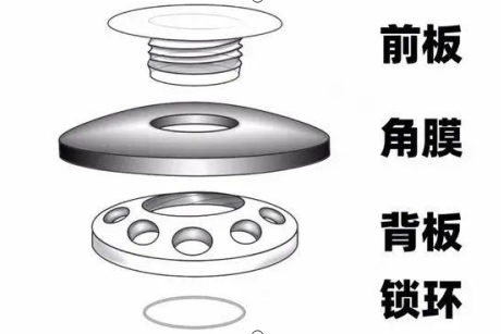 瑞典人用猪皮做眼角膜,亮瞎眼!全球人造角膜技术哪家强?(图3) 瑞典人用猪皮做眼角膜,亮瞎眼!全球人造角膜技术哪家强?(图3)